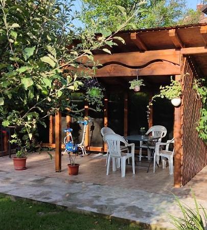 Apartamento Casa M Câmpulung Moldovenesc Exterior foto